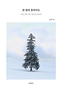 한 달의 홋카이도 - 겨울 동화 같은 설국을 만나다 (커버이미지)