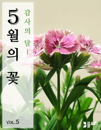 감사의 달 5월의 꽃 vol.5