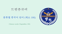 드림중국어 분류별 중국어 단어 (채소 100) - Chinese words (Vegetables 100)