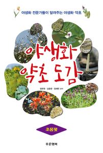 야생화 약초 도감 - 초롱꽃