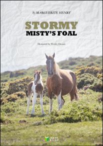 Stormy, Misty's Foal