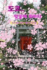 도쿄.. 벚꽃에 취하다 - 도쿄 벚꽃시즌의 아름다운 신사들