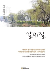 갈퀴질 - 매강 김미자 수필집